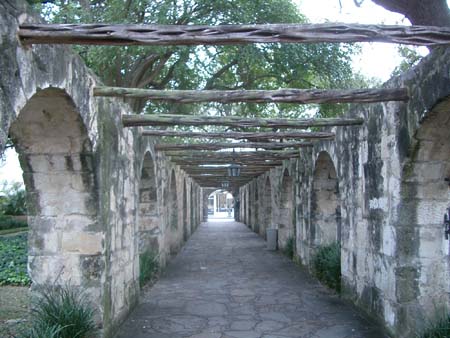 CIMG0252